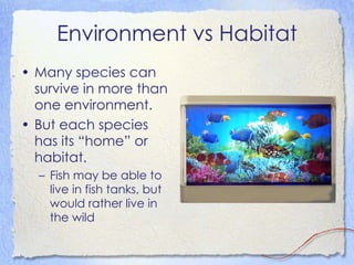 Environment vs Habitat Many species can survive in more than one environment. But each species has its “home” or habitat.  Fish may be able to live in fish tanks, but would rather live in the wild 