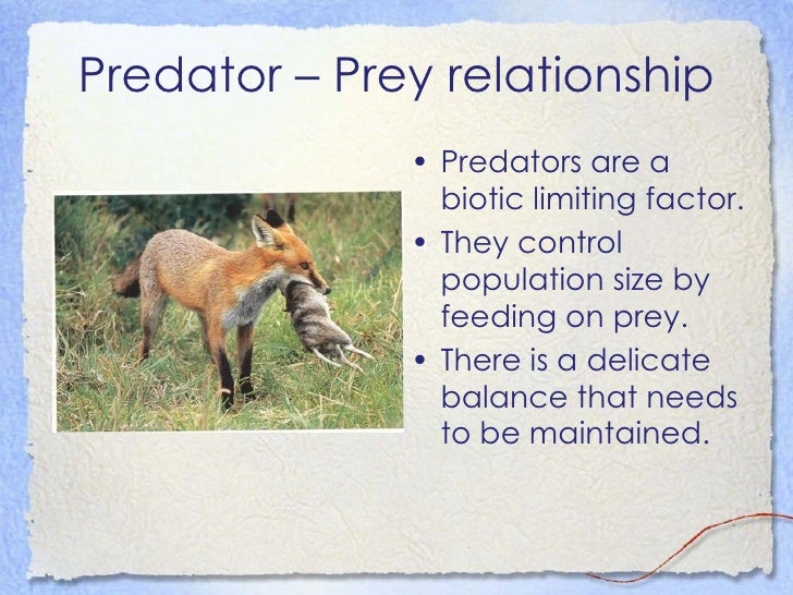 Introduction To Ecology