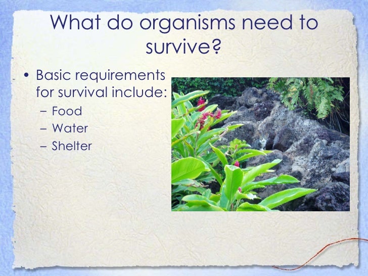 ecology presentation