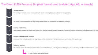 The Direct ELISA Process ( Simplest format used to detect Ags, AB, in sample)
Sample Addition
The first step in the ELISA process involves adding the sample containing the target analyte to the microplate wells.
Immobilization
The sample is incubated, allowing the target analyte to interact with the immobilized capture antibody or antigen.
Coating and Washing
After incubation, the wells are coated using coating buffer and then unwanted antigens are washed to remove any unbound components, ensuring specificity in the final r
Enzyme-Linked Antibody Addition
An enzyme-linked antibody specific to the target analyte is then added, allowing for the detection and quantification of the bound target.
Substrate Addition
The final step involves the addition of a substrate that reacts with the enzyme, producing a measurable signal such as a color change or a fluorescent/luminescent output.
If Color Produced Result will Be Positive
 