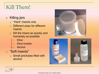 Introduction-to-Entomology-for-TMN.pdf
