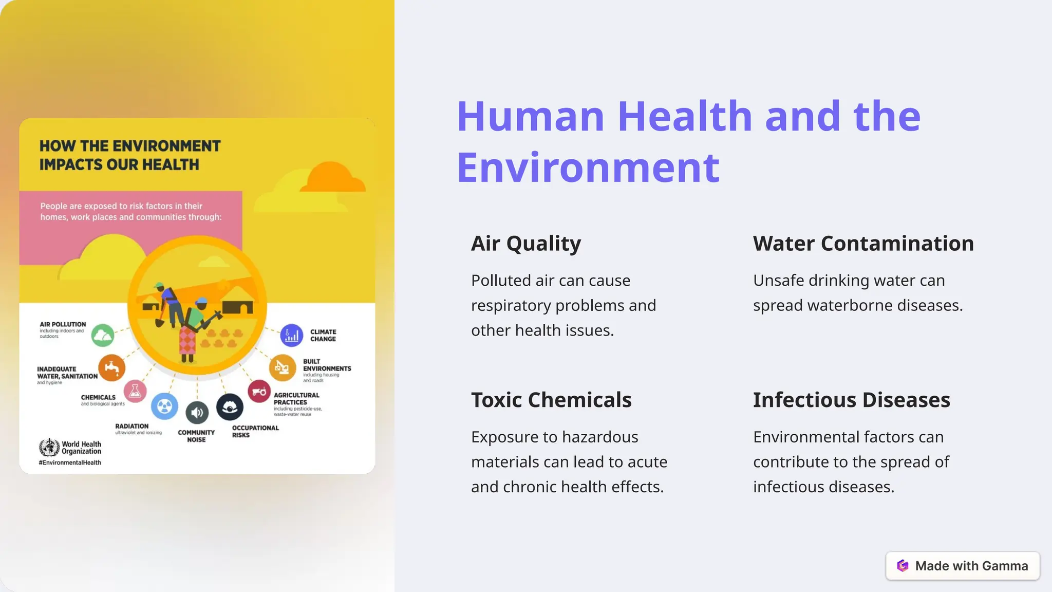 Human Health and the
Environment
Air Quality
Polluted air can cause
respiratory problems and
other health issues.
Water Contamination
Unsafe drinking water can
spread waterborne diseases.
Toxic Chemicals
Exposure to hazardous
materials can lead to acute
and chronic health effects.
Infectious Diseases
Environmental factors can
contribute to the spread of
infectious diseases.
 