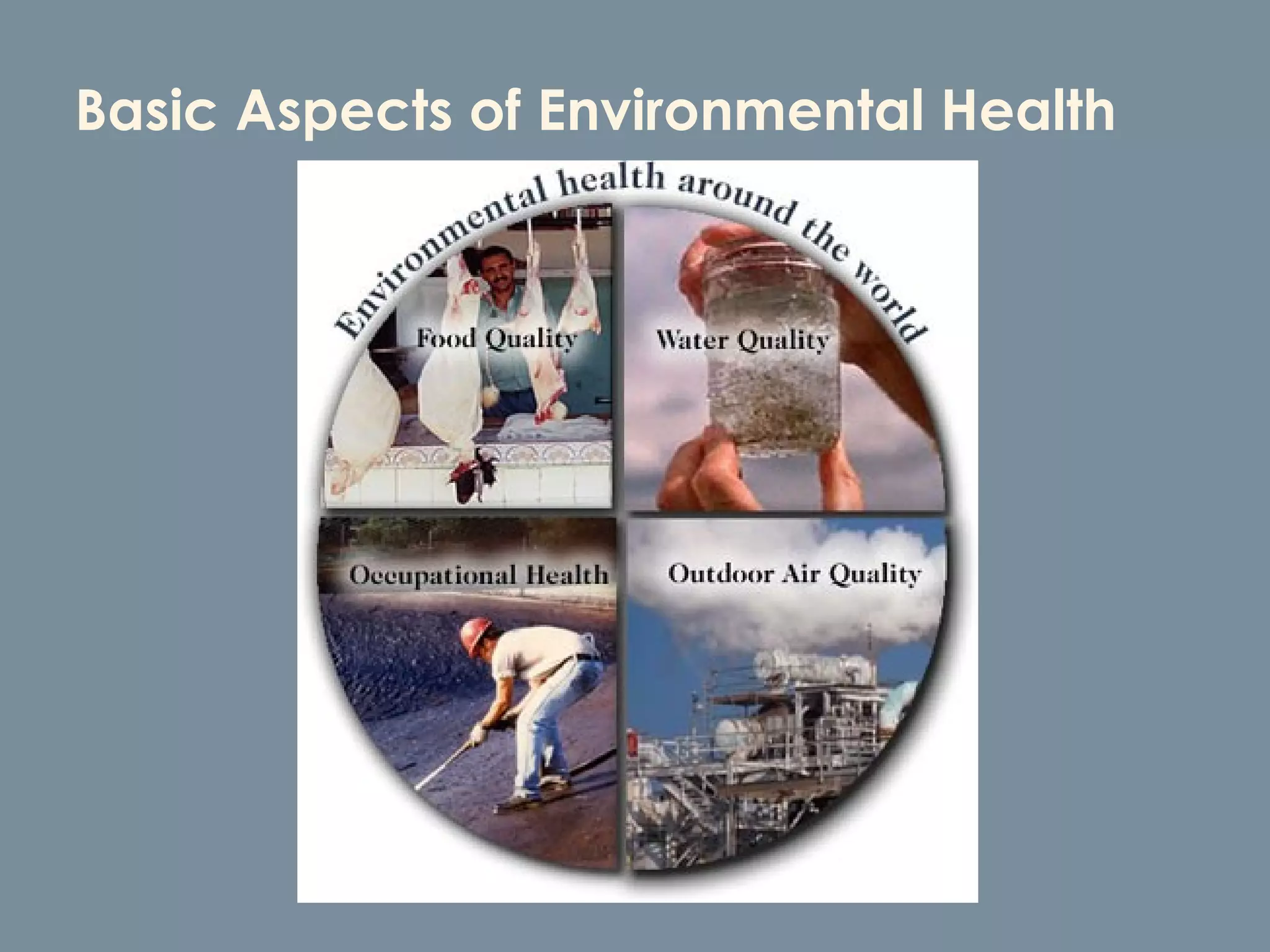 Basic Aspects of Environmental Health 
