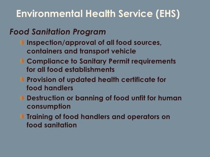 Environmental health essay