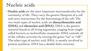 Nucleic acids
Nucleic acids are the most important macromolecules for the
continuity of life. They carry the genetic blueprint of a cell
and carry instructions for the functioning of the cell. The
two main types of nucleic acids are deoxyribonucleic acid
(DNA) and ribonucleic acid (RNA). DNA is the genetic
material found in all living organisms, ranging from single-
celled bacteria to multicellular mammals. DNA controls all
of the cellular activities by turning the genes “on” or “off.”
The other type of nucleic acid, RNA, is mostly involved in
protein synthesis. DNA has a double-helix structure
 