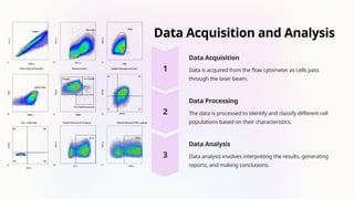 Data Acquisition and Analysis
Data Acquisition
Data is acquired from the flow cytometer as cells pass
through the laser beam.
Data Processing
The data is processed to identify and classify different cell
populations based on their characteristics.
Data Analysis
Data analysis involves interpreting the results, generating
reports, and making conclusions.
 