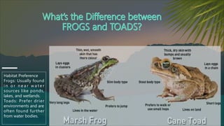 Frog Introduction Introduction-to-Frog-Dissection 1st year.pdf