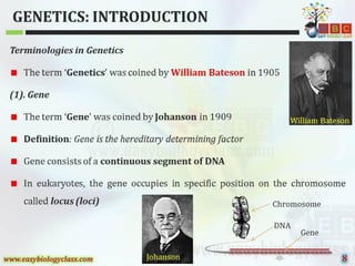 Introduction-to-Genetics,powerpoint p.pptx