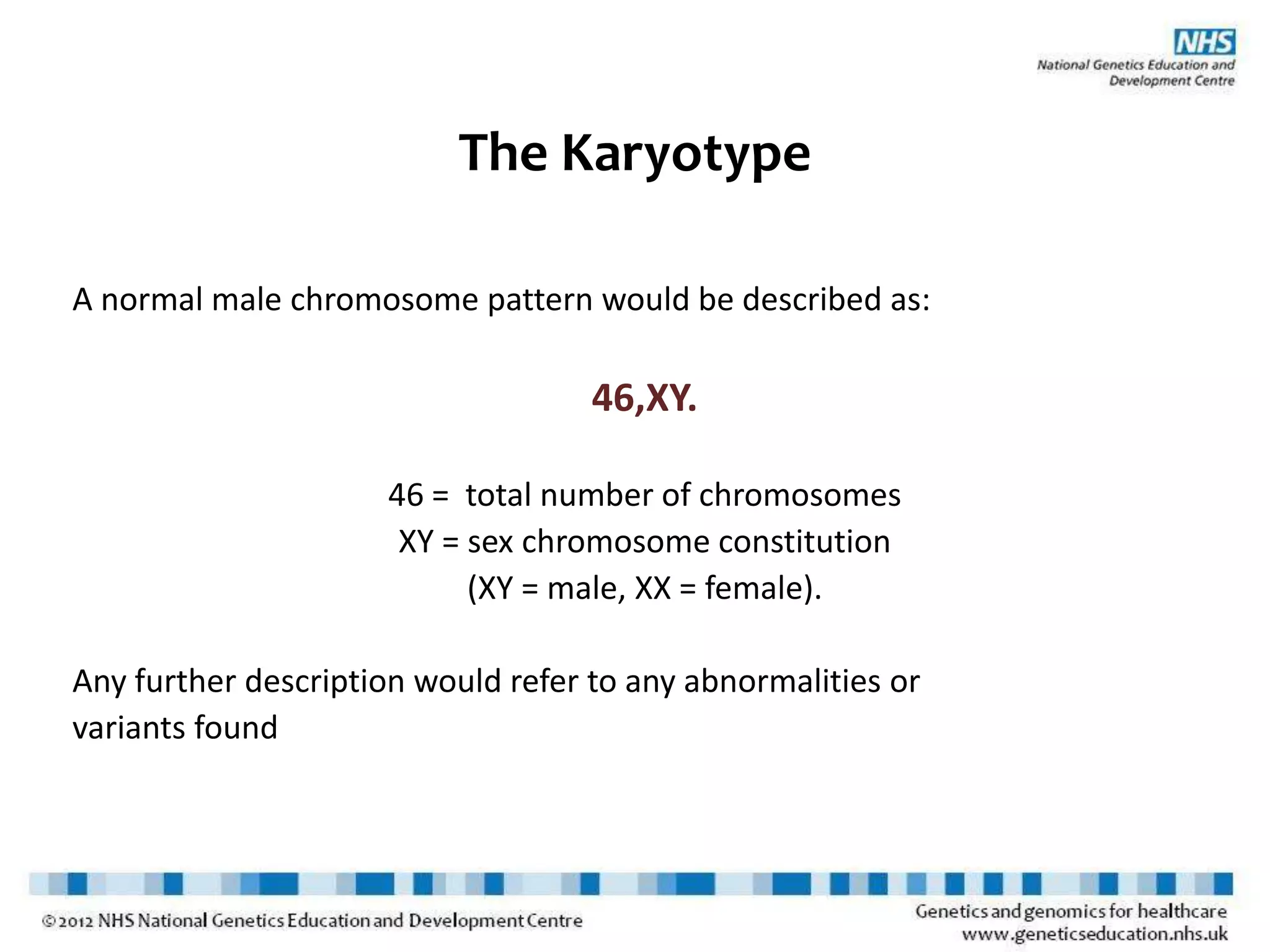 The Karyotype
A normal male chromosome pattern would be described as:
46,XY.
46 = total number of chromosomes
XY = sex chromosome constitution
(XY = male, XX = female).
Any further description would refer to any abnormalities or
variants found
 