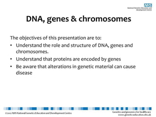 Introduction to genetics for beginners | PPTX | Genetics | Science