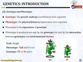 Introduction to-genetics-ppt-by-easybiologyclass | PPTX