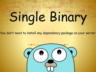 Single Binary
You don’t need to install any dependency package on your server
 