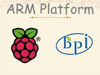 ARM Platform
 