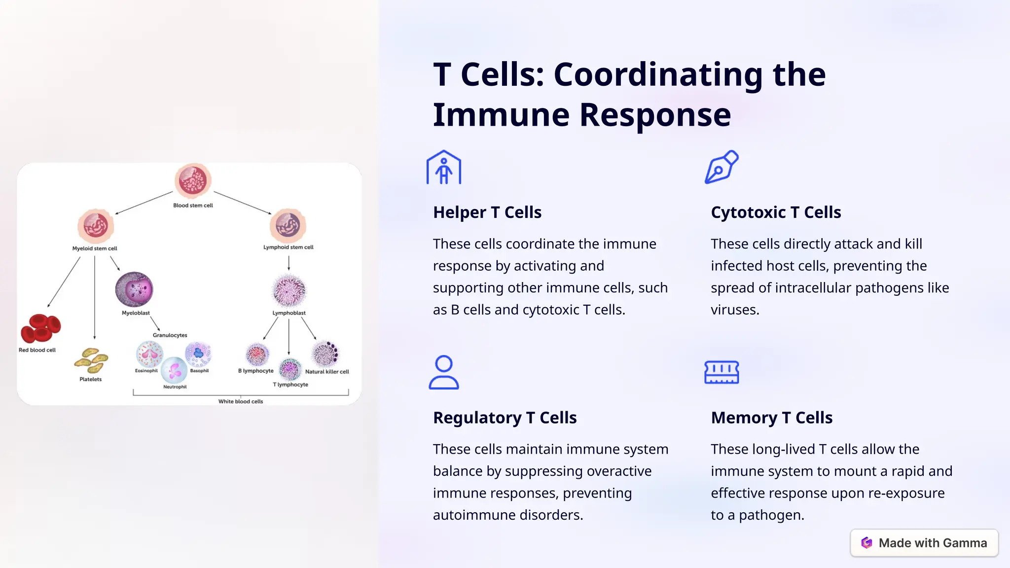 Human Immunity Introduction Introduction-to-Immunity-and-Infectious-Diseases.pptx