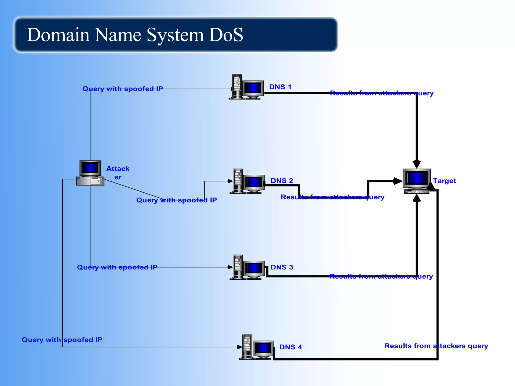 Domain Name System DoS 