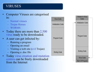 VIRUSES Computer Viruses are categorised in: Normal viruses Trojan Horses WORMS Today there are more than  2,500 virus  ready to be downloaded.   A user can get infected by: Running a program Opening an email Visiting a web site ( evil  Trojan) Opening a .doc file Today  virus creation and mutation centres  can be freely downloaded from the Internet 