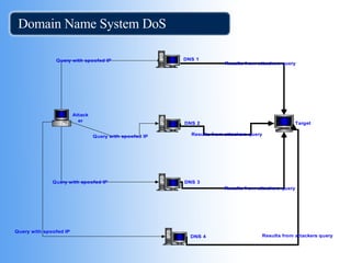 Domain Name System DoS 