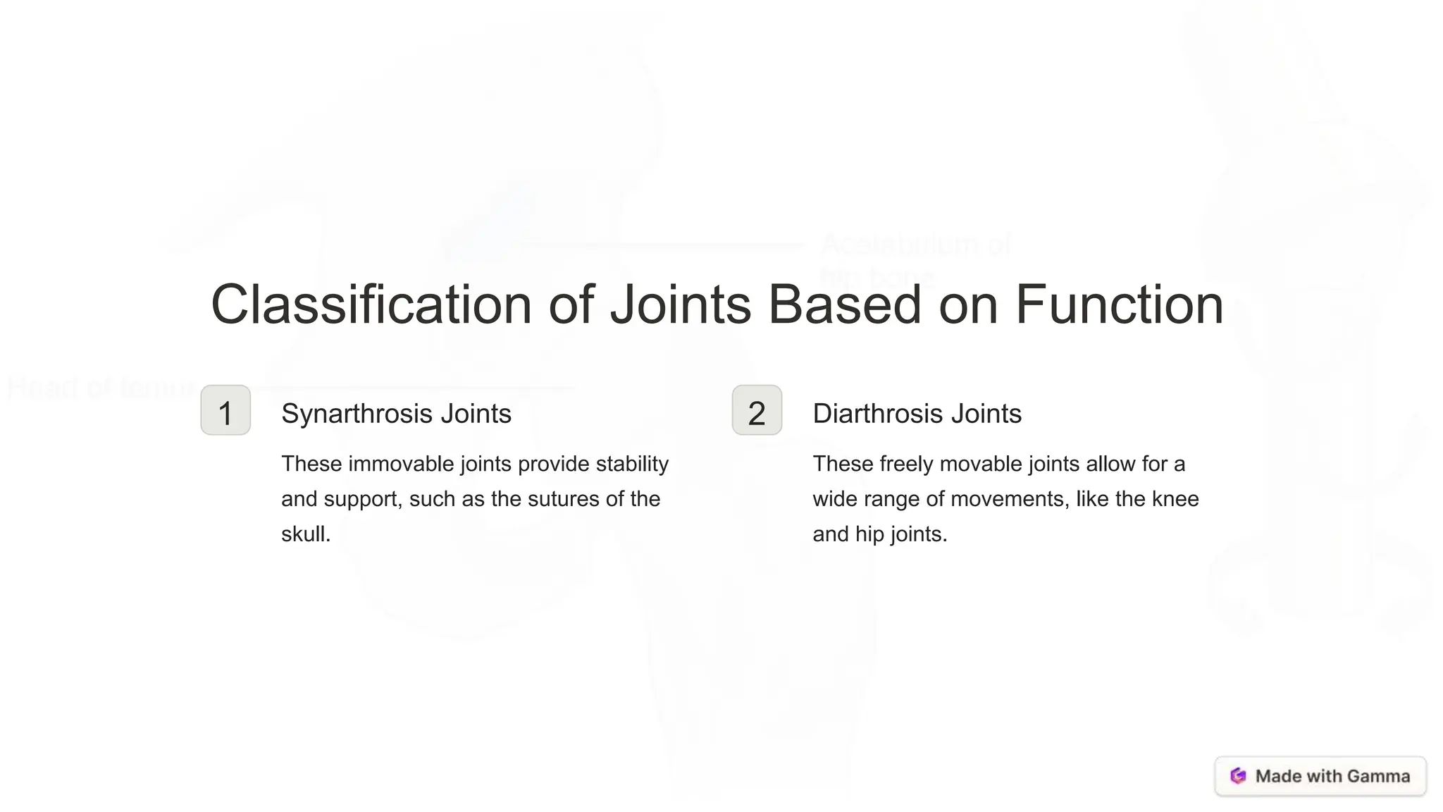 Classification of Joints Based on Function
1 Synarthrosis Joints
These immovable joints provide stability
and support, such as the sutures of the
skull.
2 Diarthrosis Joints
These freely movable joints allow for a
wide range of movements, like the knee
and hip joints.
 