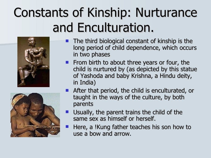 Introduction to Kinship