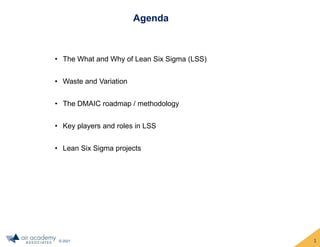 © 2021
• The What and Why of Lean Six Sigma (LSS)
• Waste and Variation
• The DMAIC roadmap / methodology
• Key players and roles in LSS
• Lean Six Sigma projects
Agenda
1
 