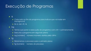 Execução de Programas
 &
 Colocado no fim do programa para indicar que vai rodar em
background
 Ex: ls -lah -R / &
 bg
 Temos que parar a execução do programa com ctrl + z primeiramente
 Executa o programa em segundo plano
 bg [número] número:=número obtido pelo ctrl+z
 fg
 Retornamos o processo para o primeiro plano
 fg [número] número do processo
 