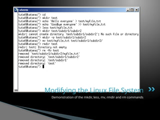 Comprehensive Introduction to Linux Command Line and System Basics | PPTX