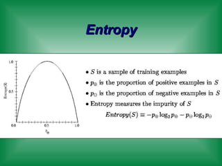 Entropy 