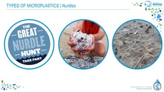 TYPES OF MICROPLASTICS | Nurdles
 