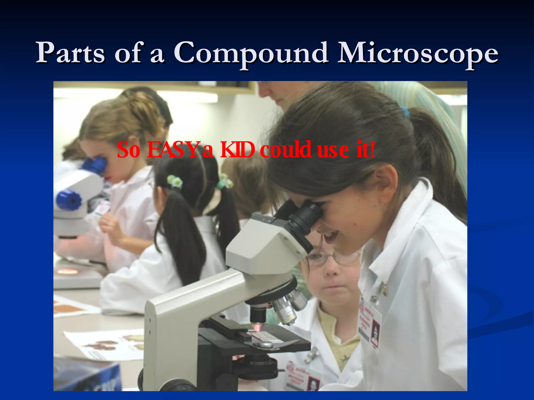 Parts of a Compound Microscope So EASY a KID could use it! 