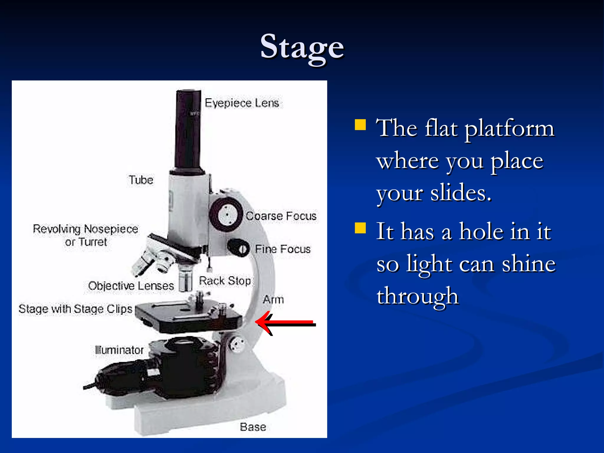 Stage The flat platform where you place your slides.   It has a hole in it so light can shine through ← 