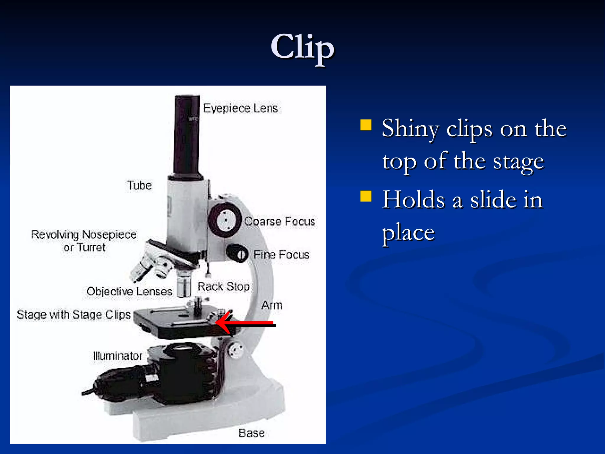 Clip Shiny clips on the top of the stage Holds a slide in place ← 