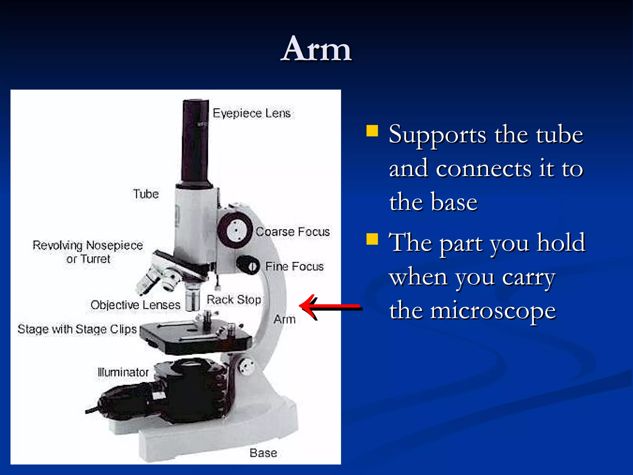 Arm Supports the tube and connects it to the base  The part you hold when you carry the microscope ← 