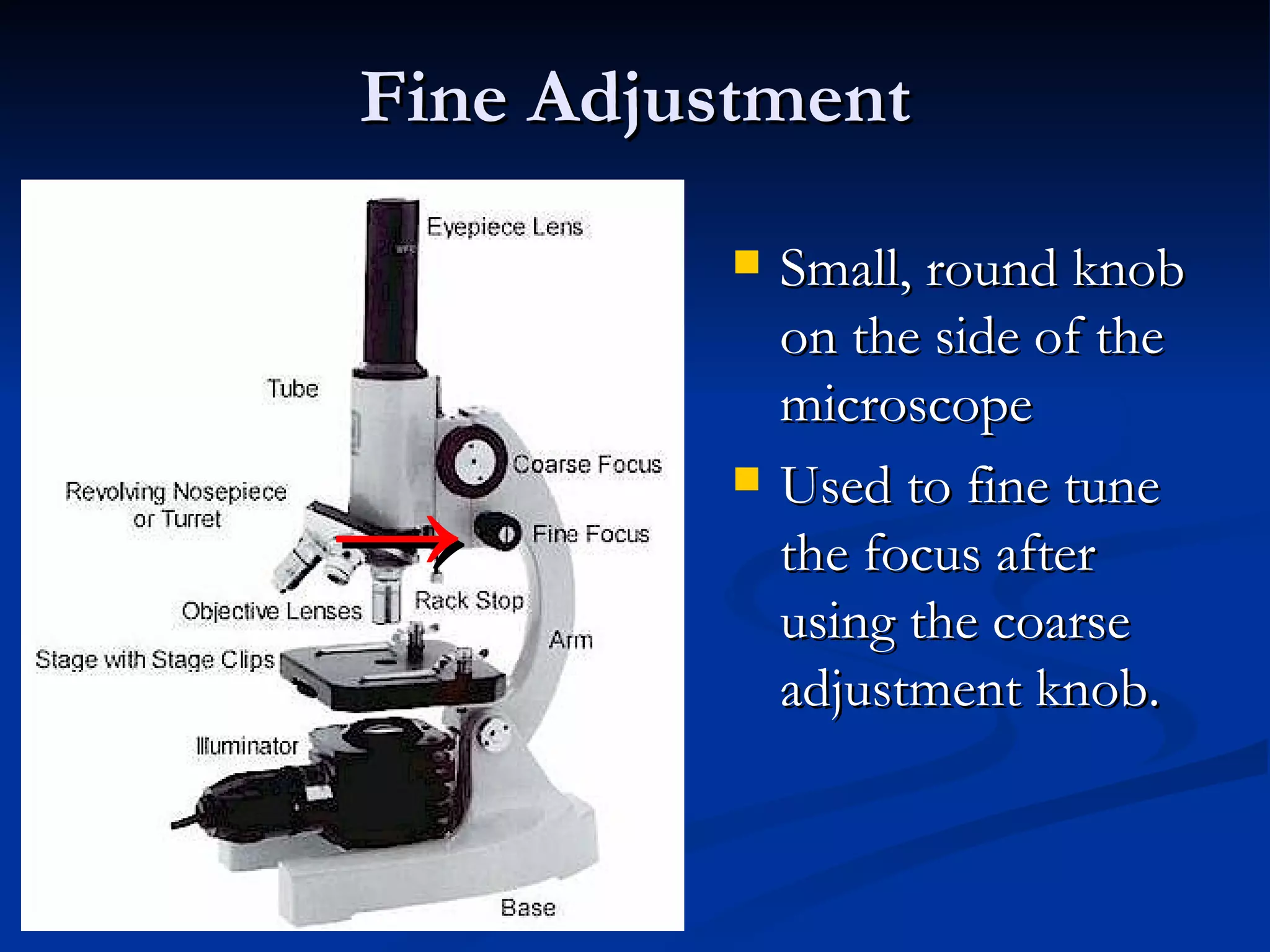 Fine Adjustment Small, round knob on the side of the microscope Used to fine tune the focus after using the coarse adjustment knob. -> 