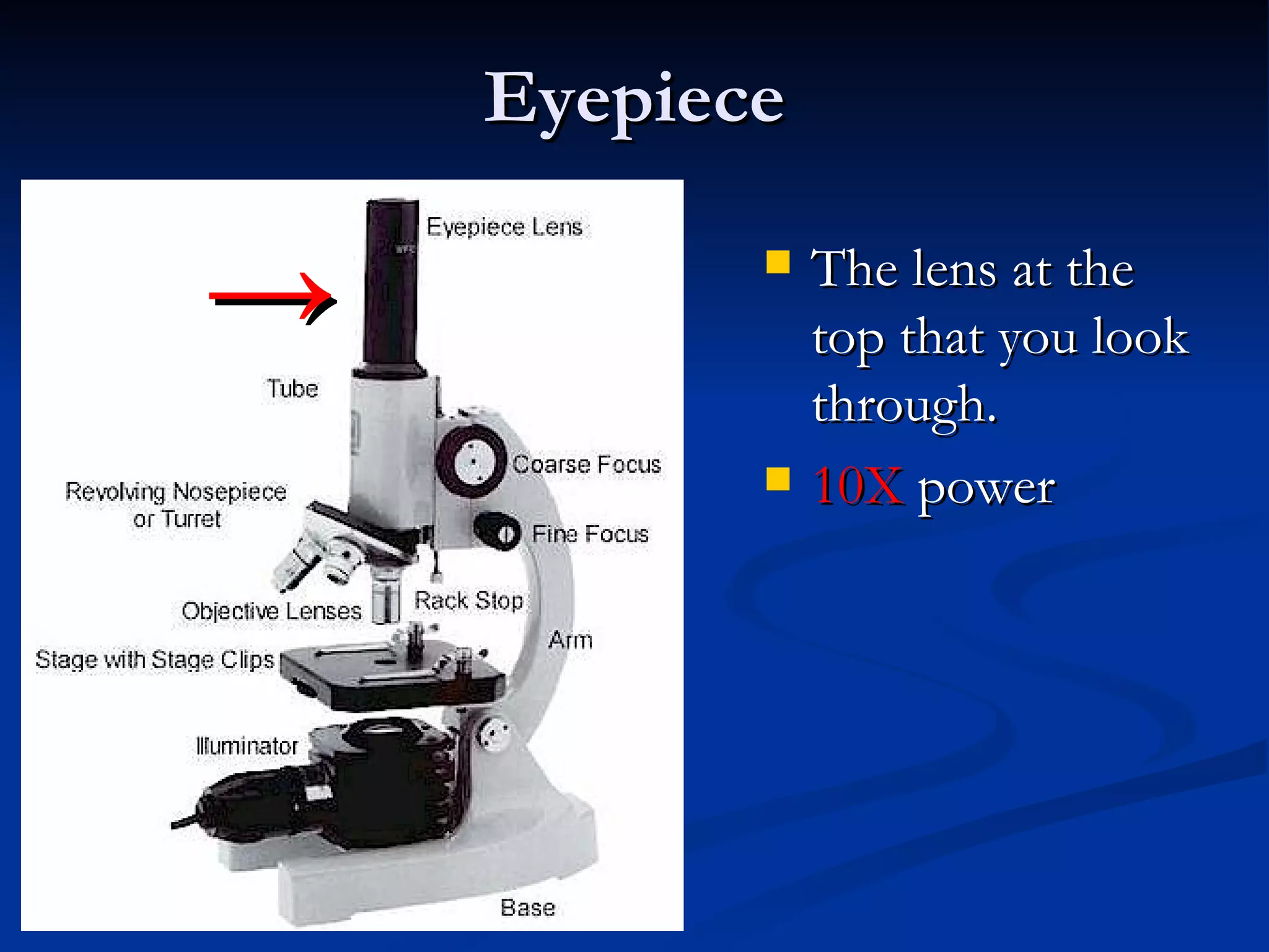 Eyepiece The lens at the top that you look through. 10X  power -> 