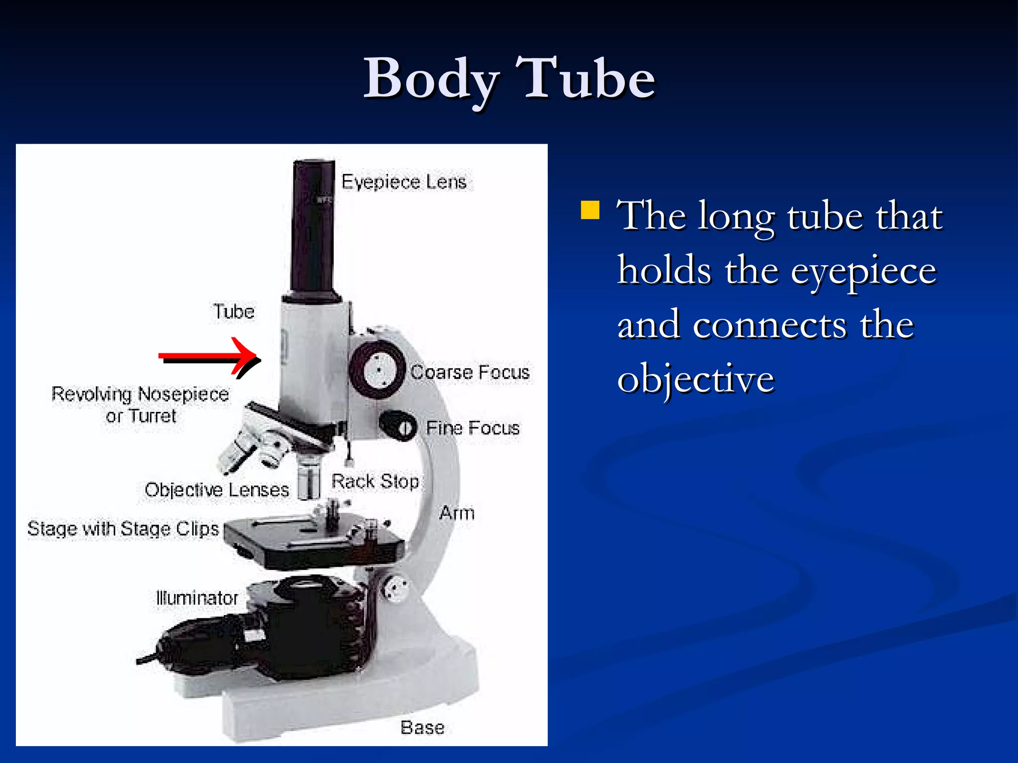 Body Tube The long tube that holds the eyepiece and connects the objective -> 