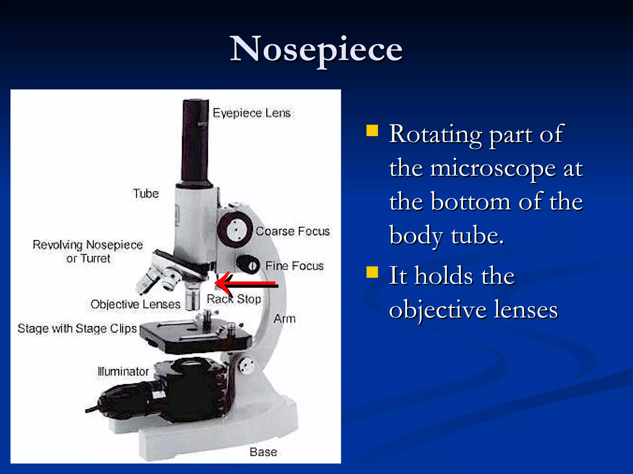 Nosepiece Rotating part of the microscope at the bottom of the body tube. It holds the objective lenses ← 