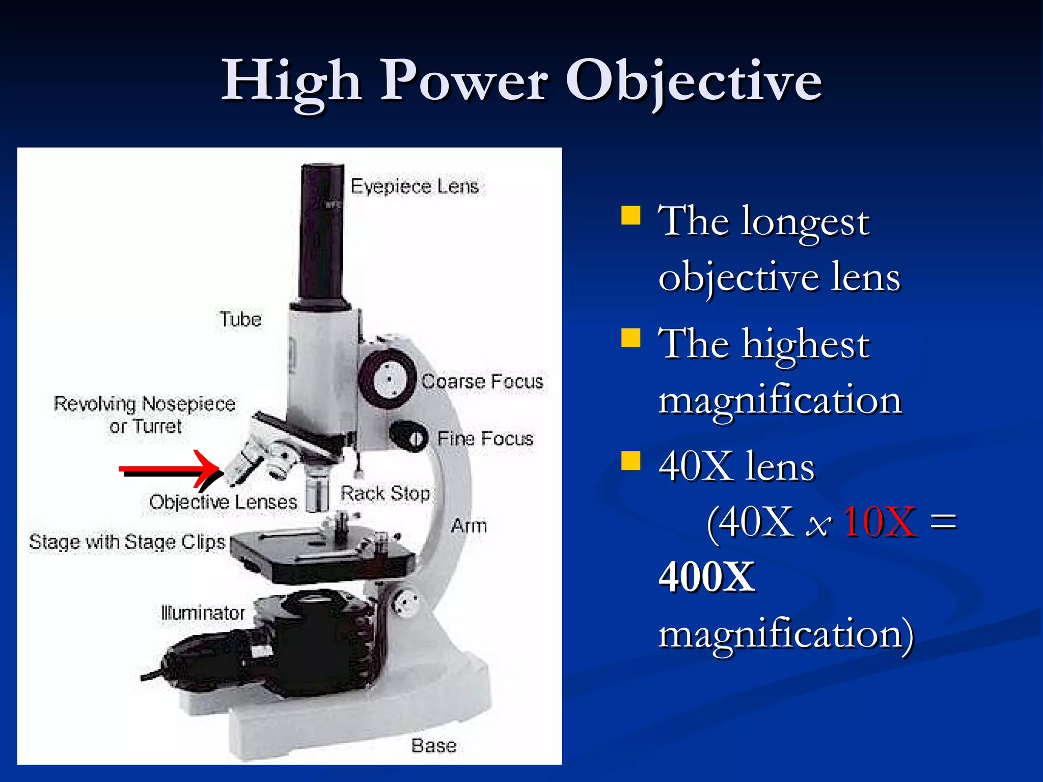 High Power Objective The longest objective lens The highest magnification 40X lens  (40X  x   10X  =  400X  magnification) -> 