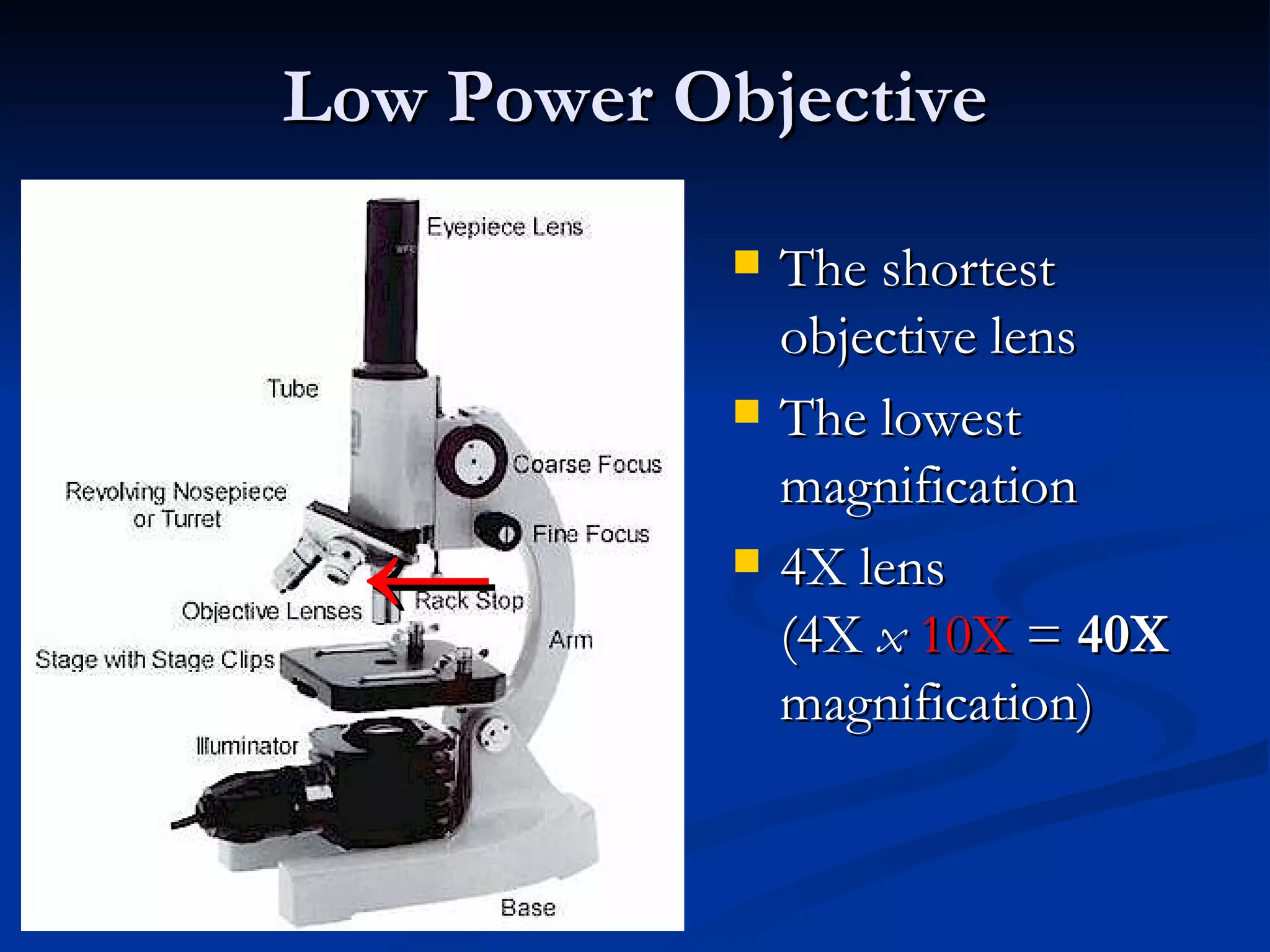 Low Power Objective The shortest objective lens The lowest magnification 4X lens  (4X  x   10X  =  40X  magnification) ← 