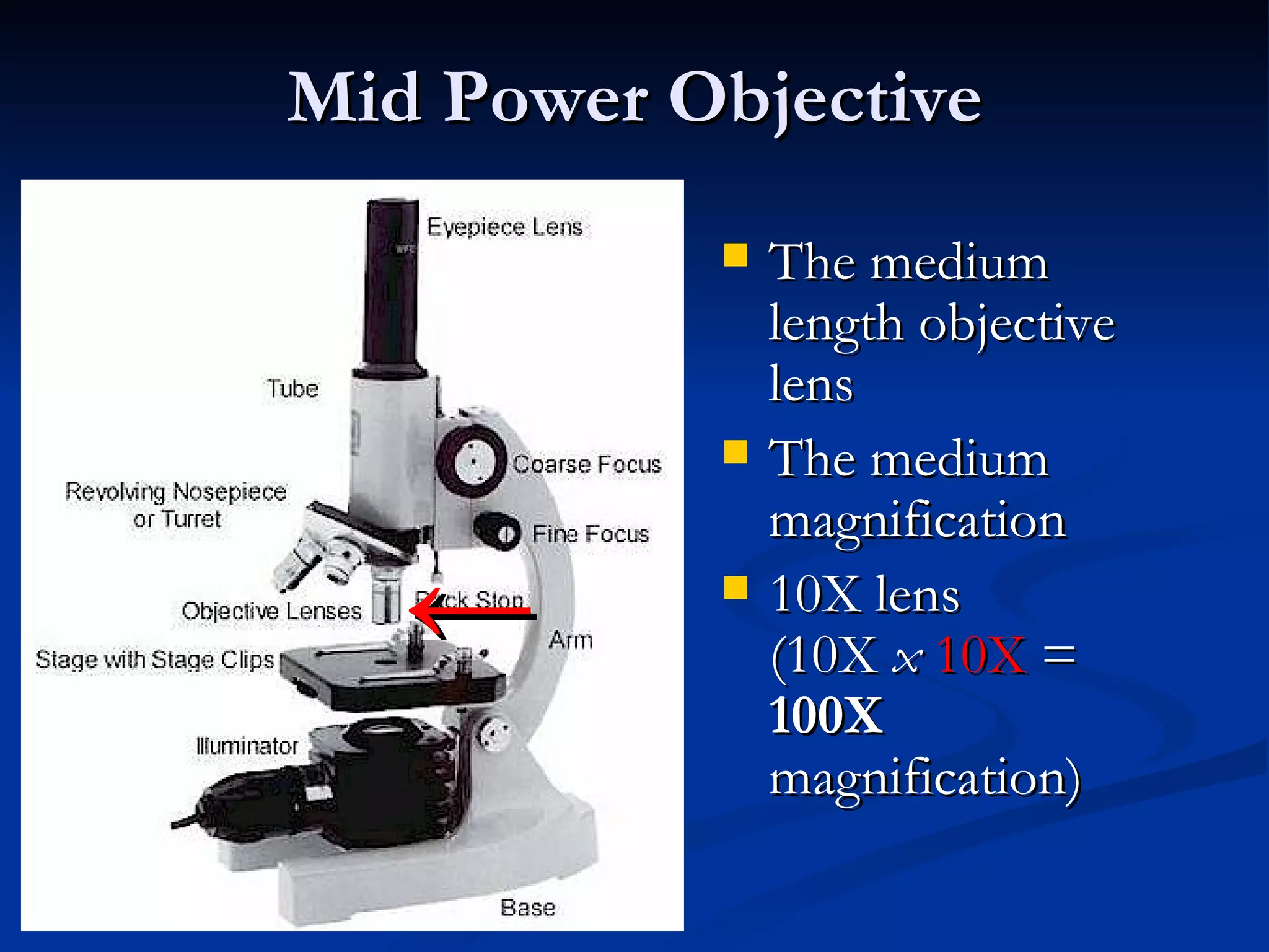 Mid Power Objective The medium length objective lens The medium magnification 10X lens  (10X  x   10X  =  100X  magnification) ← 