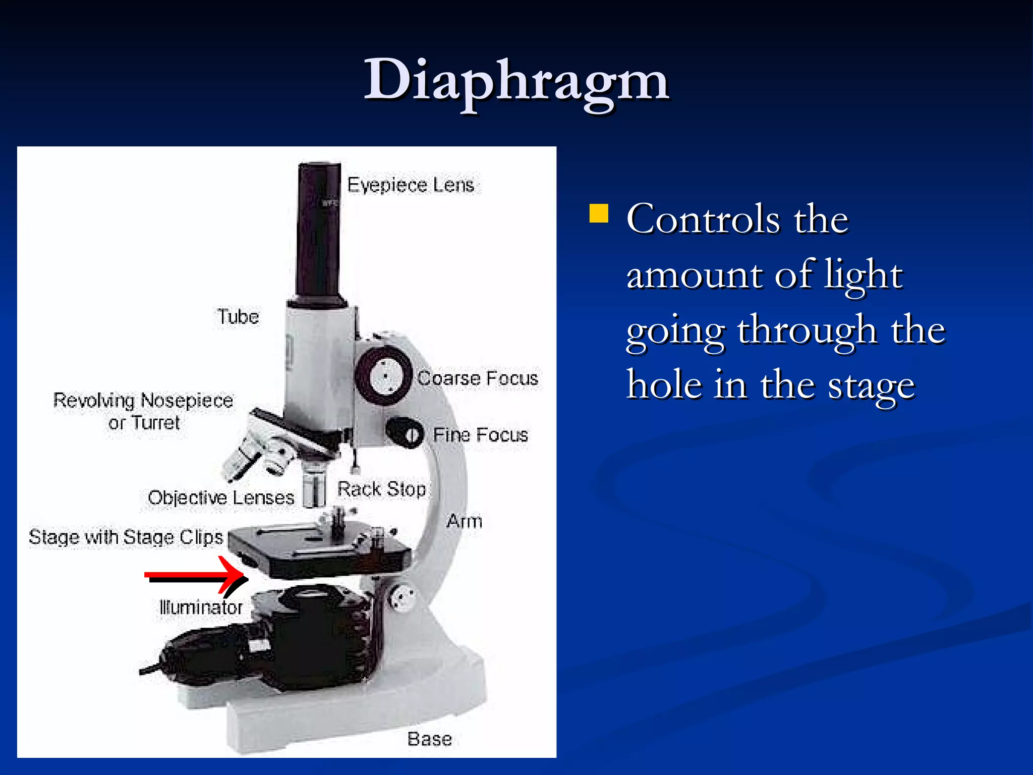 Diaphragm Controls the amount of light going through the hole in the stage -> 