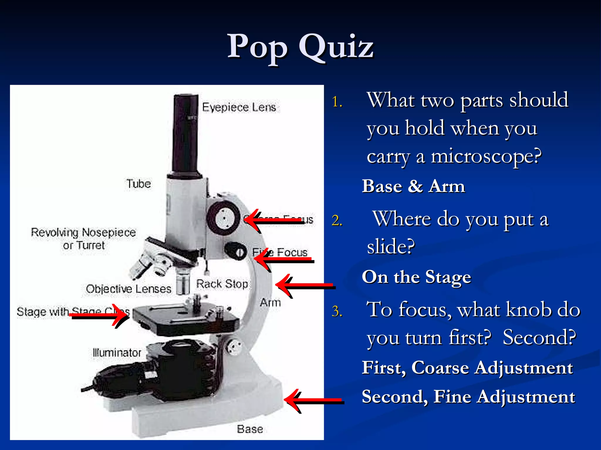 Pop Quiz What two parts should you hold when you carry a microscope? Base & Arm Where do you put a slide? On the Stage To focus, what knob do you turn first?  Second? First, Coarse Adjustment Second, Fine Adjustment ← ← -> ← ← 