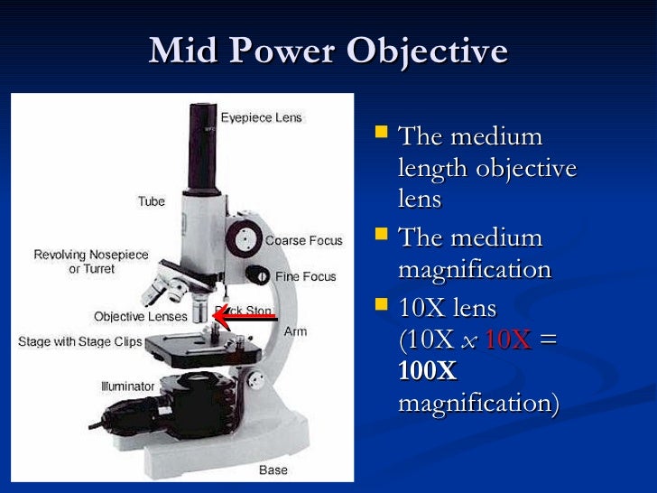 Introduction To Microscopes History & Parts