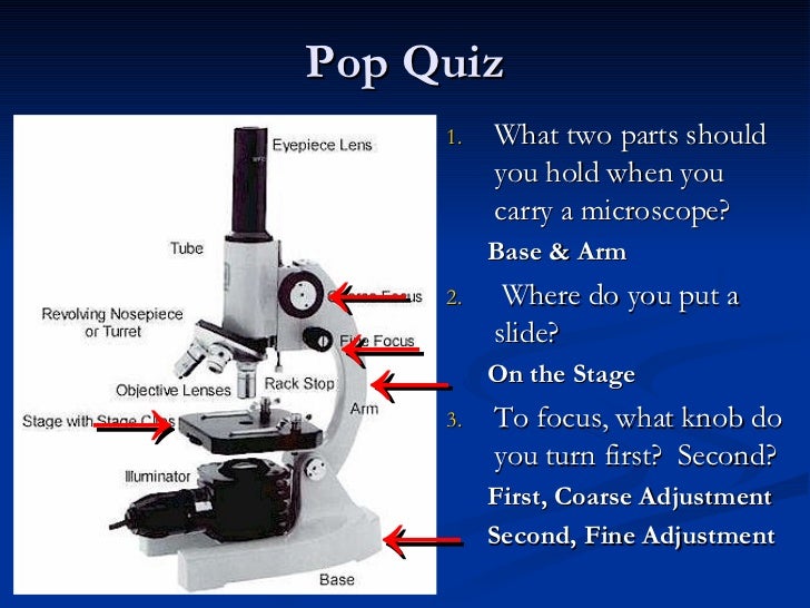 Introduction To Microscopes History & Parts