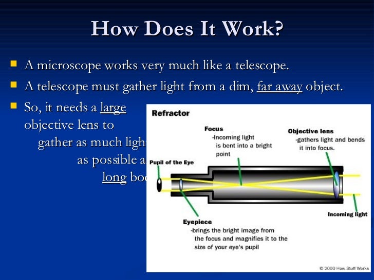 Introduction To Microscopes History 