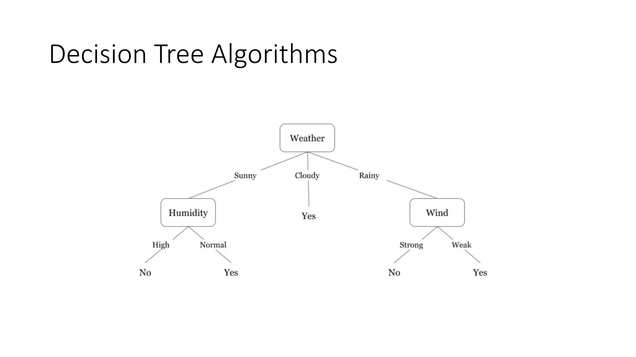 Decision Tree Algorithms
 
