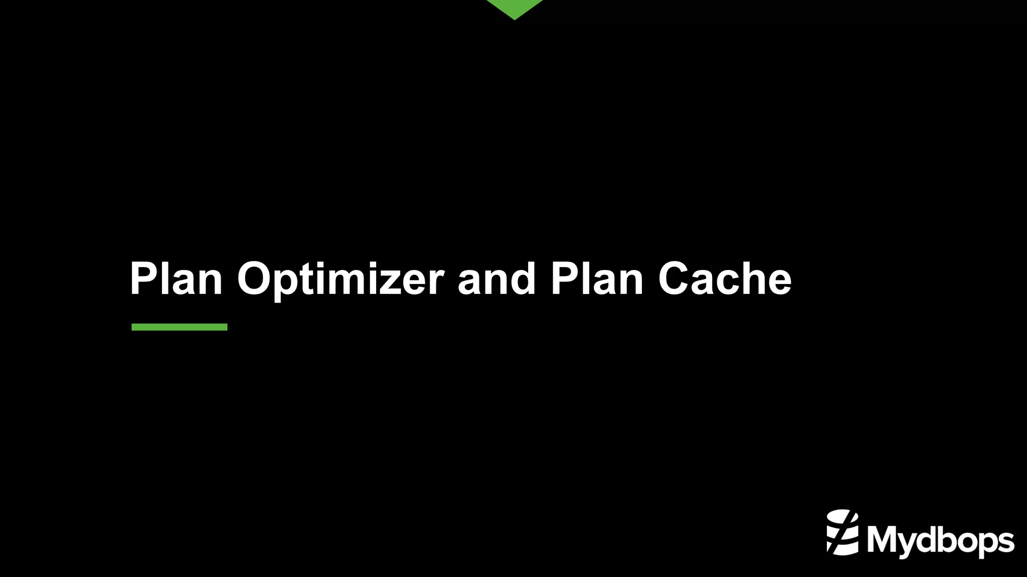 Plan Optimizer and Plan Cache 