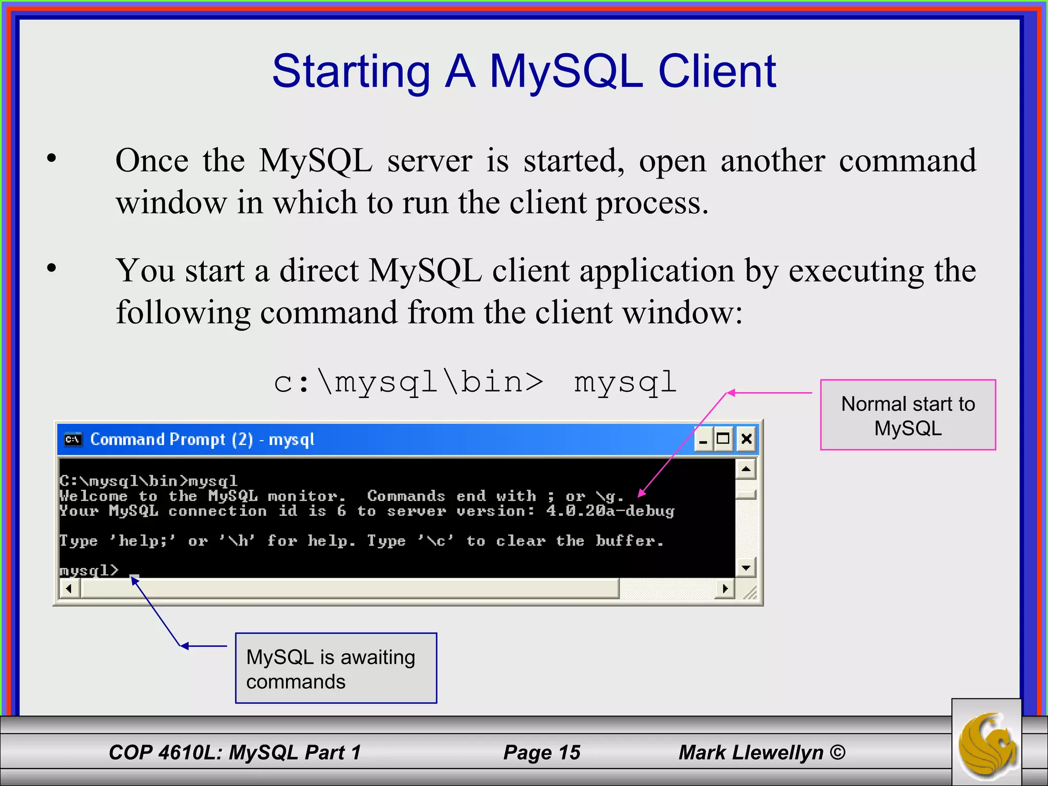 Starting A MySQL Client Once the MySQL server is started, open another command window in which to run the client process.  You start a direct MySQL client application by executing the following command from the client window:   c:\mysql\bin>  mysql MySQL is awaiting commands Normal start to MySQL 