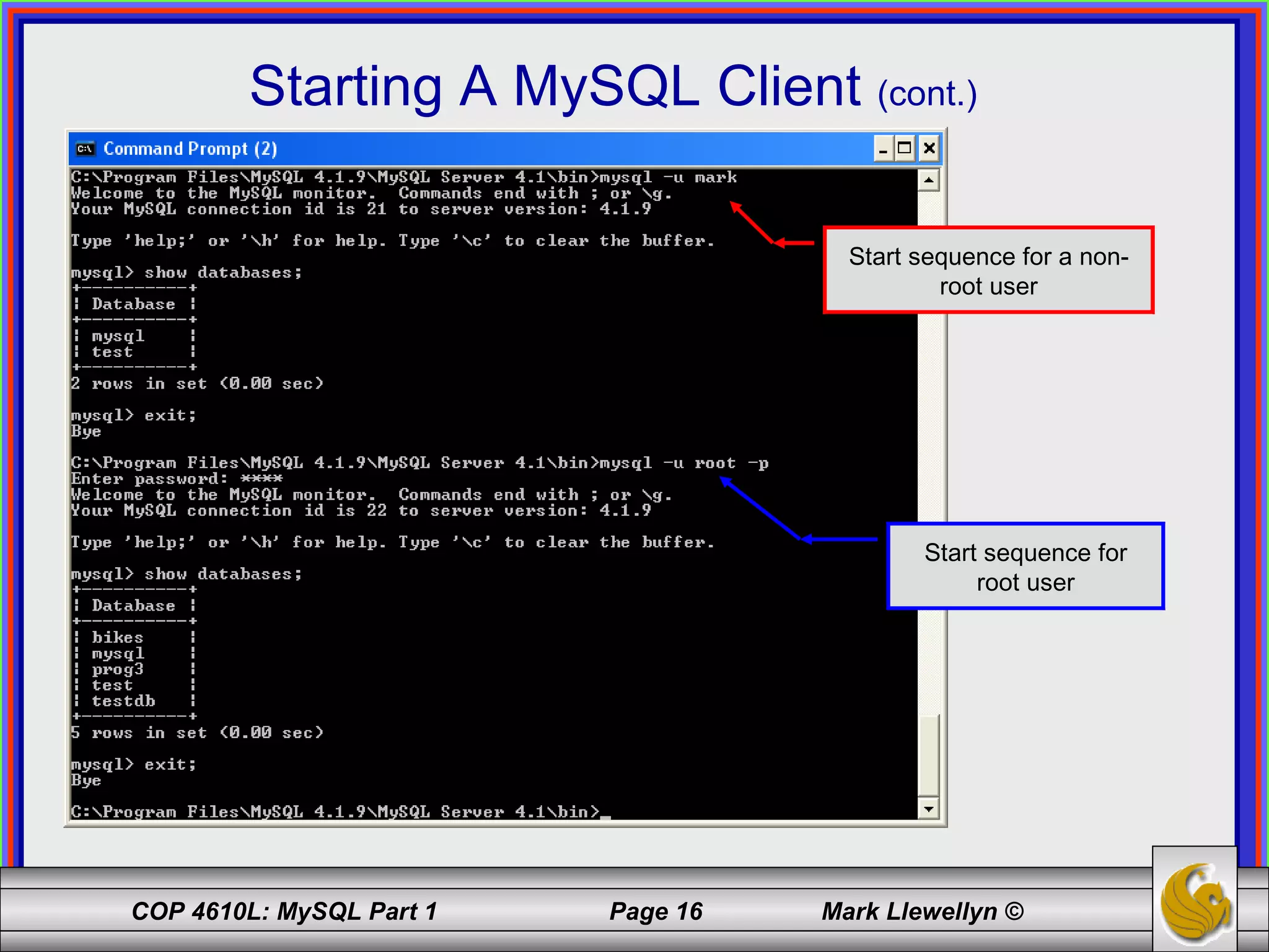 Starting A MySQL Client  (cont.) Start sequence for a non-root user Start sequence for root user 