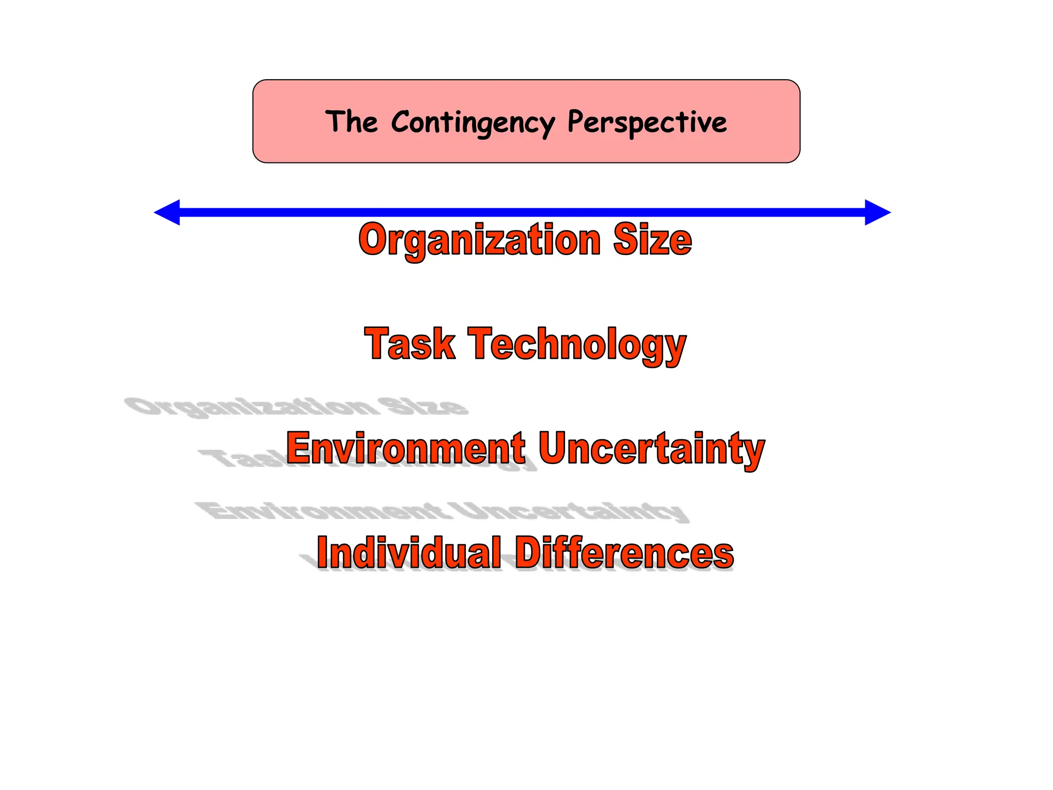 The Contingency Perspective
 