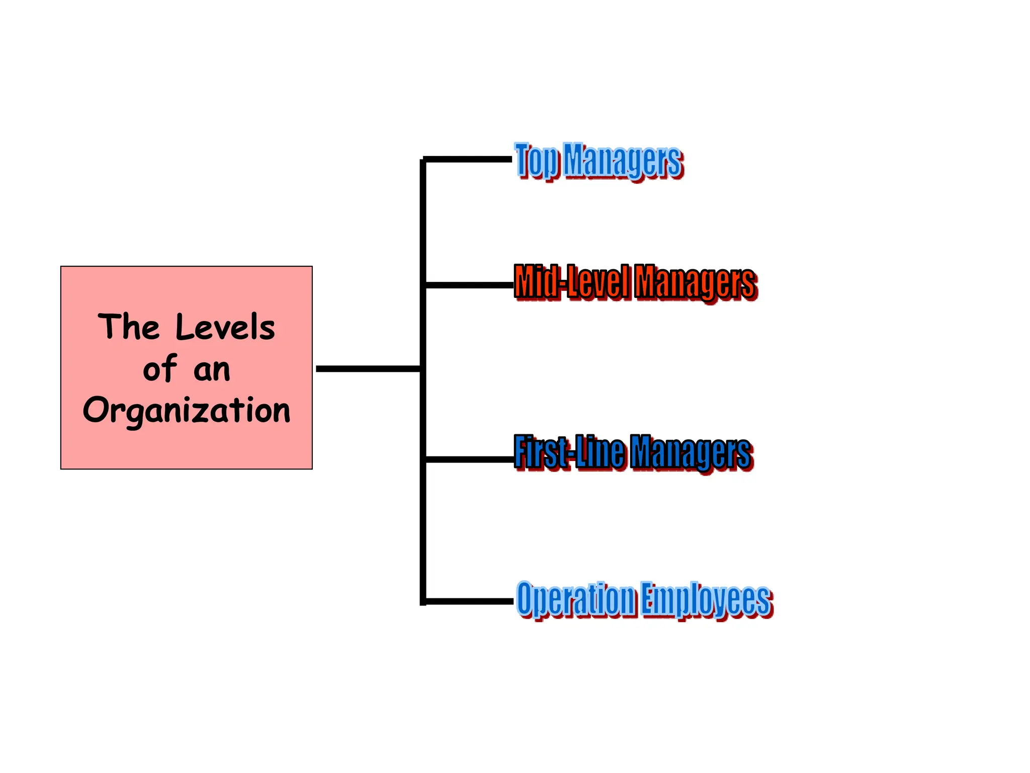 The Levels
of an
Organization
 
